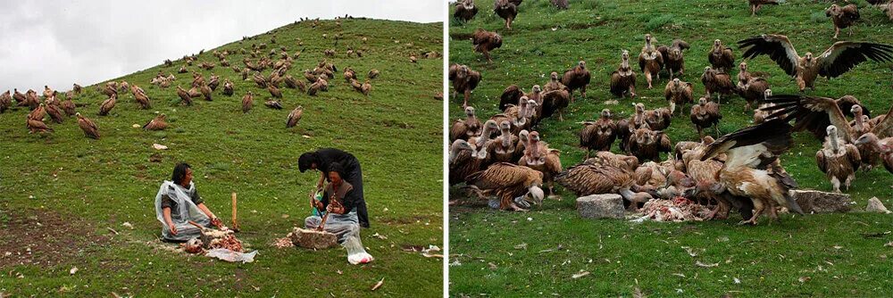 Небесное кладбище тибете. Небесные похороны тибет. Ларунг гар небесные похороны. Небесное погребение в тибете. Тибет мустанг похороны.