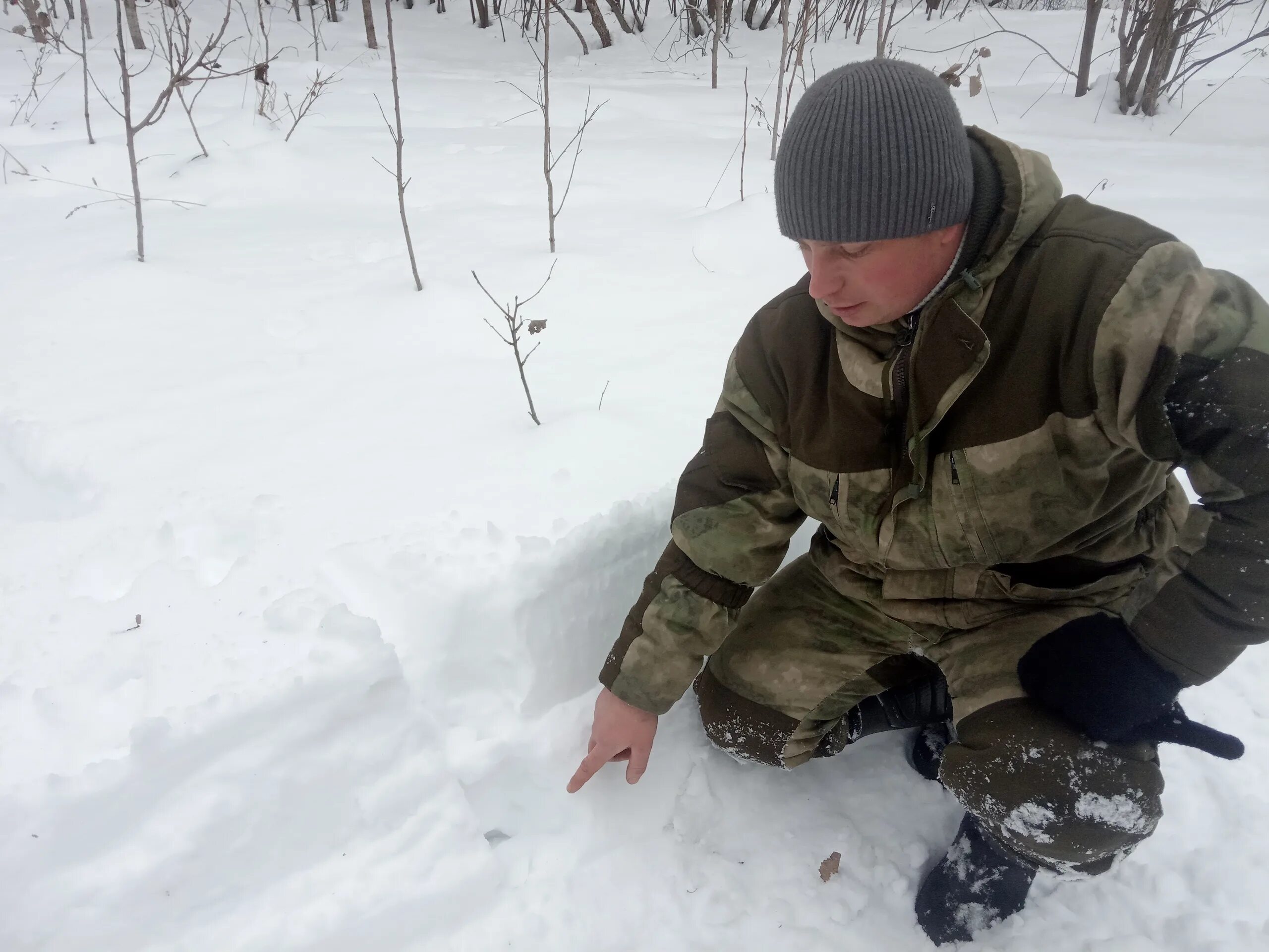 Охота ульяновск сайт. Зимний маршрутный учет охотничьих животных. Охота в Ульяновской области. Охотнадзор Ульяновск.