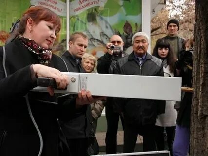 Очередь на древесину иркутская