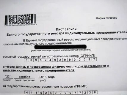 Номер записи в егрип