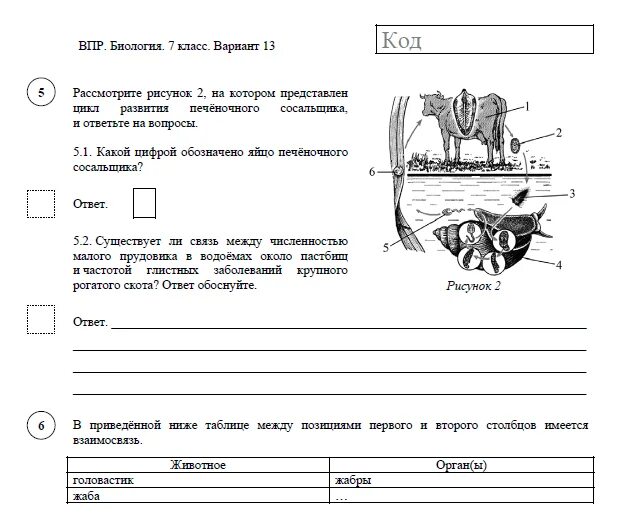 Ответы впр 9. ВПР по биологии 7 класс 2021 год. ВПР биология 7 класс. ВПР биология 5 класс. Подготовка к ВПР 5 класс биология.