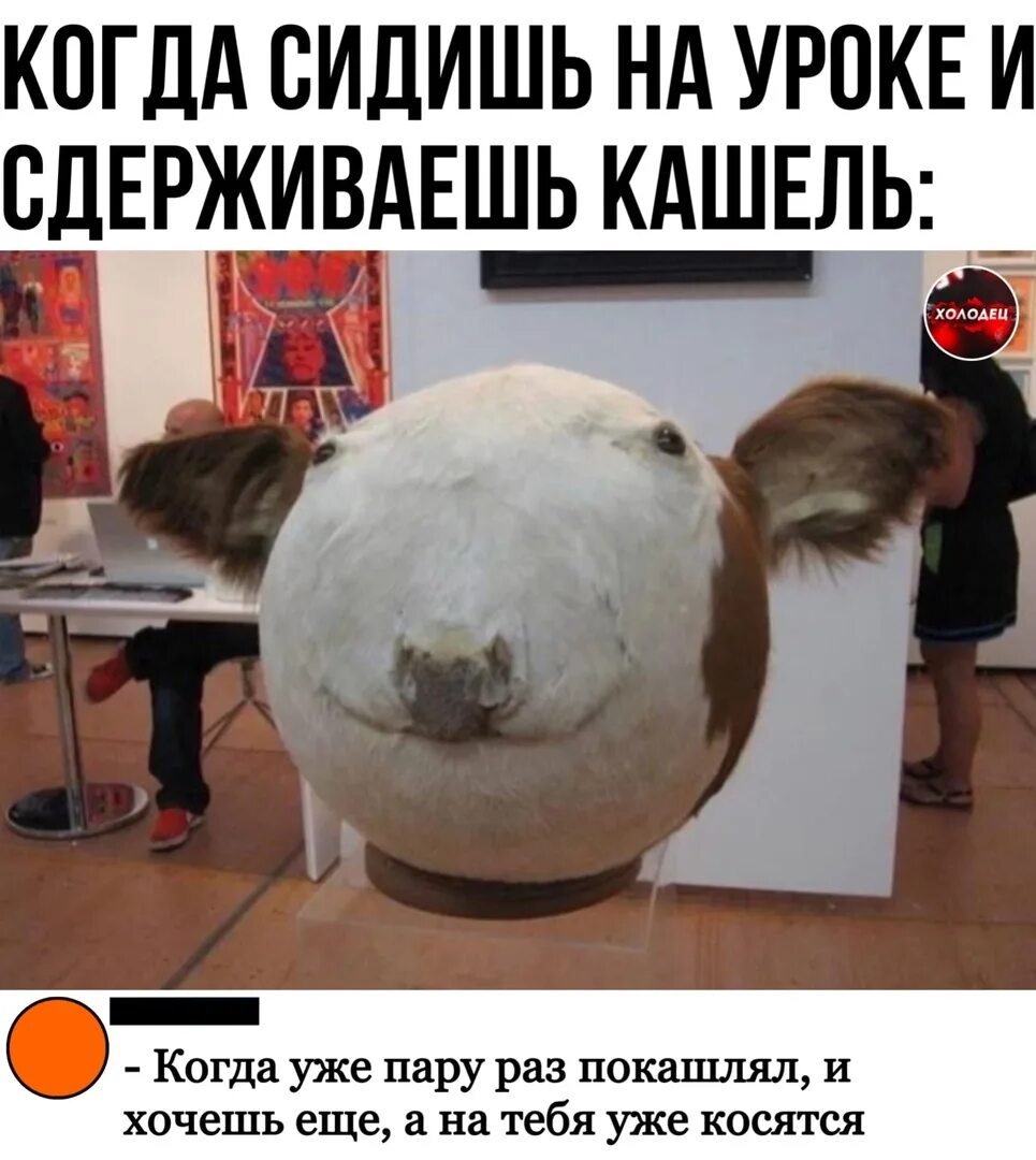 Пытается сдержать мочу