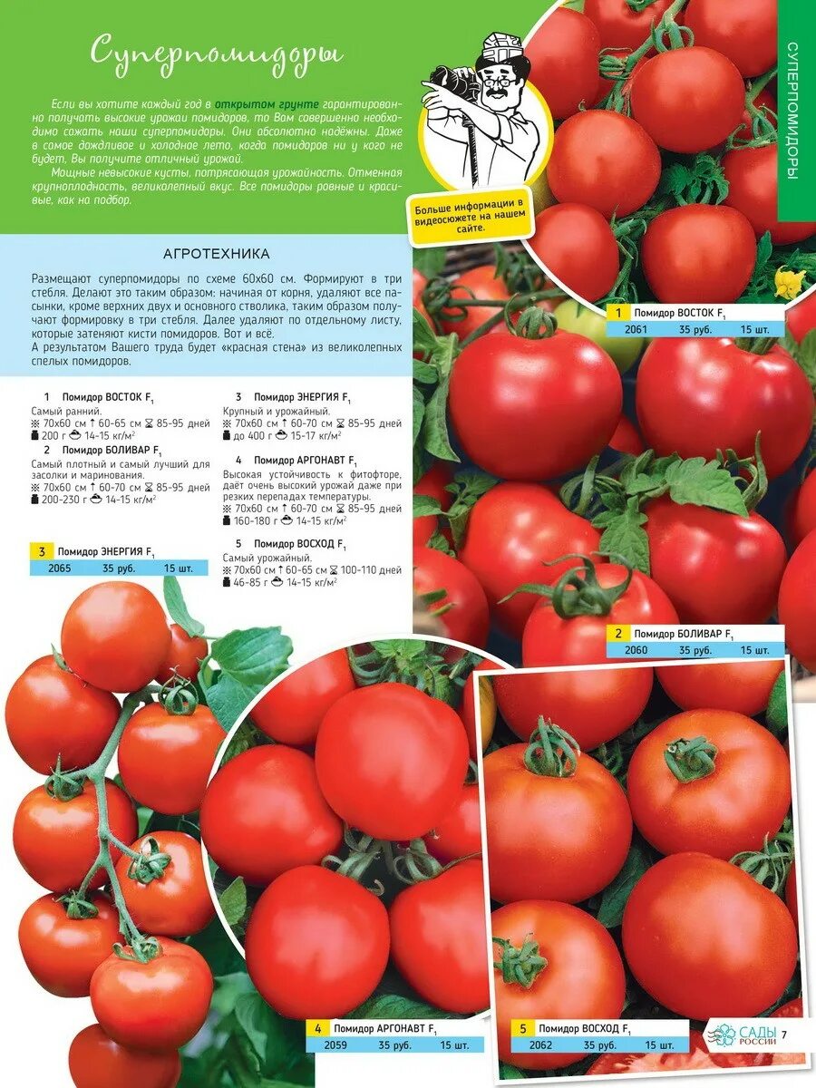 Семена томата интернет магазин каталог. Сады России каталог на 2023 семена томатов. Каталог семян. Каталог семян томатов. Семена каталог.