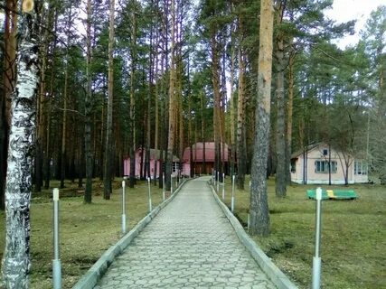 Сосновый бор первоуральск