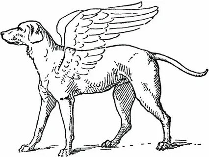 Angel dog