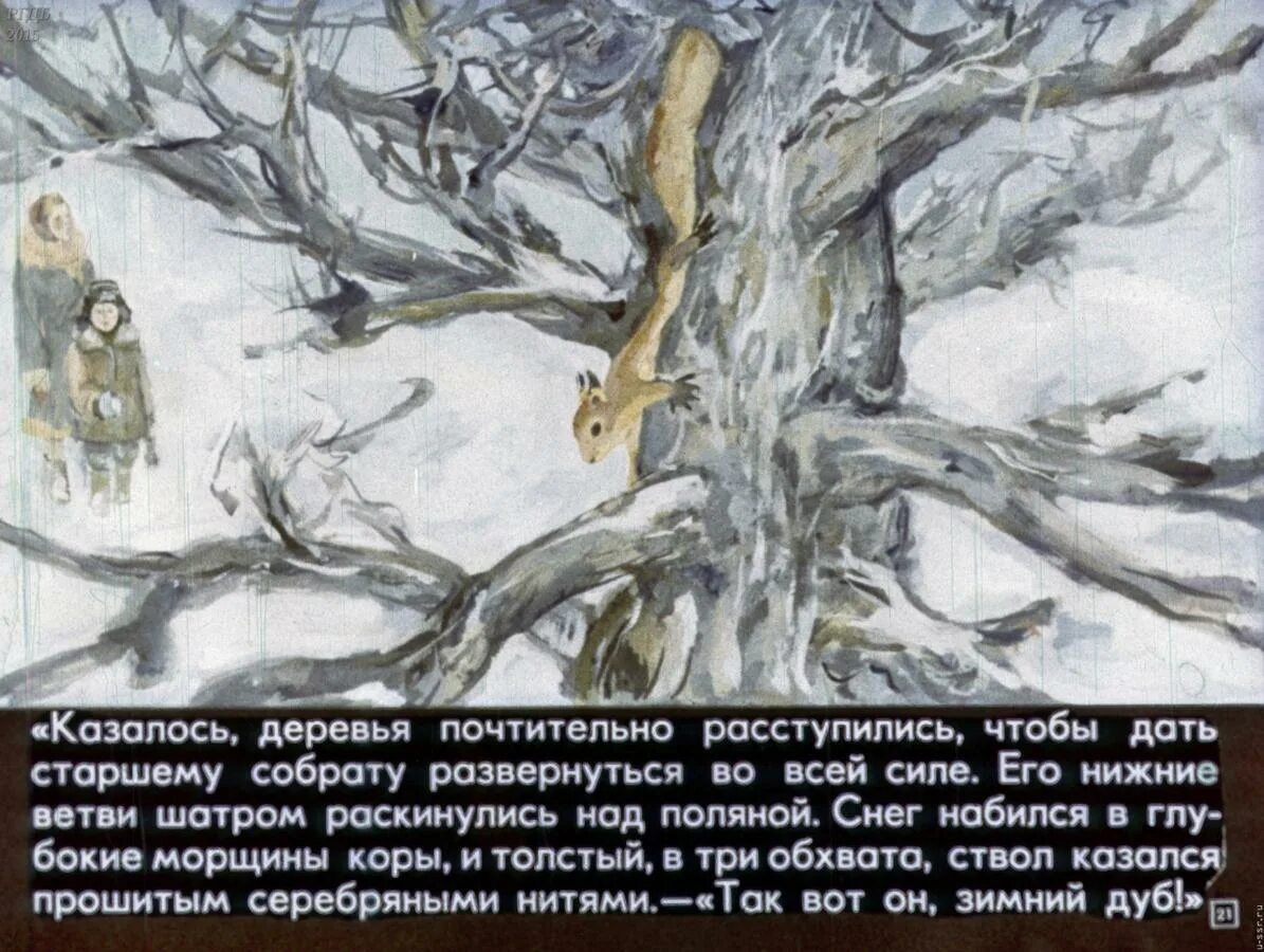 Нагибин зимний дуб краткое содержание. Ю нагибина зимний дуб. ю нагибин зимний дуб. юрий нагибин зимний дуб. юрий нагибин зимний дуб книга.