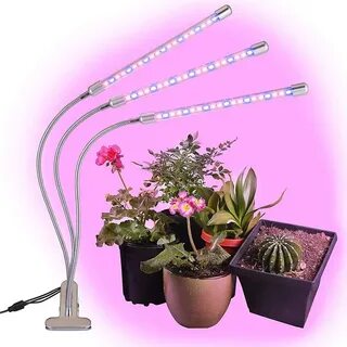 Цвета фитолампы для растений