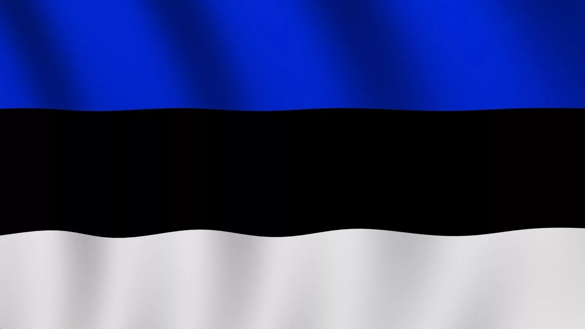 Флаг эстонии. Флаг эстонии 135х90см. Флаг эстонии 1939. Как выглядит флаг эстонии. Estonia флаг.