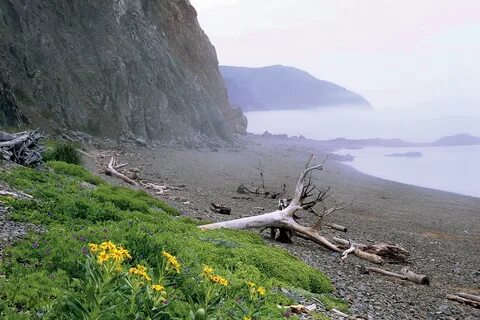 Хабаровск море