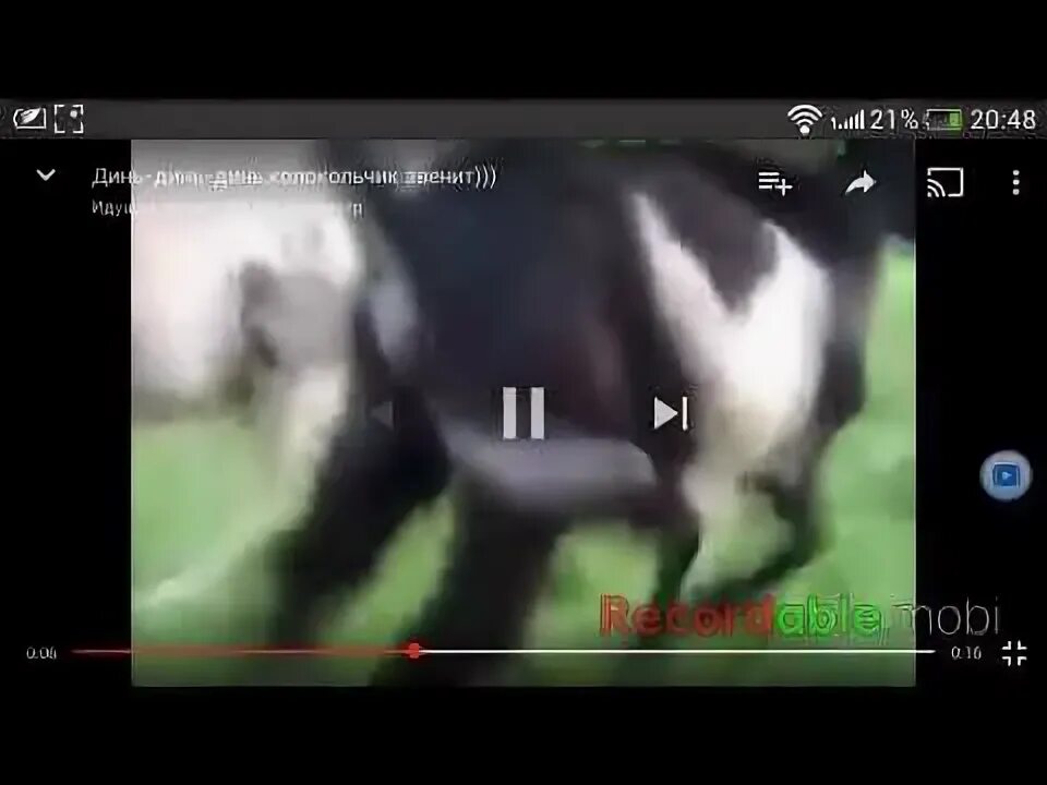 Четыре таракана и сверчок ноты для хора. Клип динь динь колокольчик звенит. Динь-динь-динь колокольчик звенит прикол. В лунном сиянии снег серебрится т. Дзынь бывает только раз в жизни.