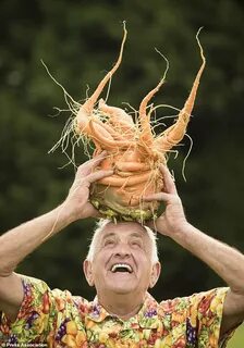 Самый большой овощ
