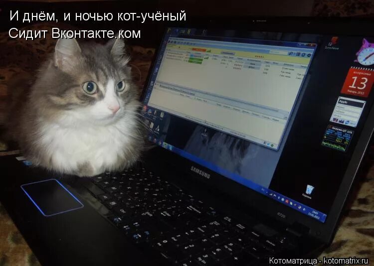 Тоже компьютер. Жизнь без компа. Котоматрица кот ученый. Кот и компьютер. Кот за компьютером.