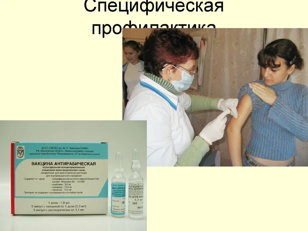 Реакция на прививку от энцефалита у взрослых. Специфическая профилактика клещевого энцефалита. активная специфическая профилактика клещевого энцефалита. вирус клещевого энцефалита специфическая профилактика. вакцинация клещевой картинки.