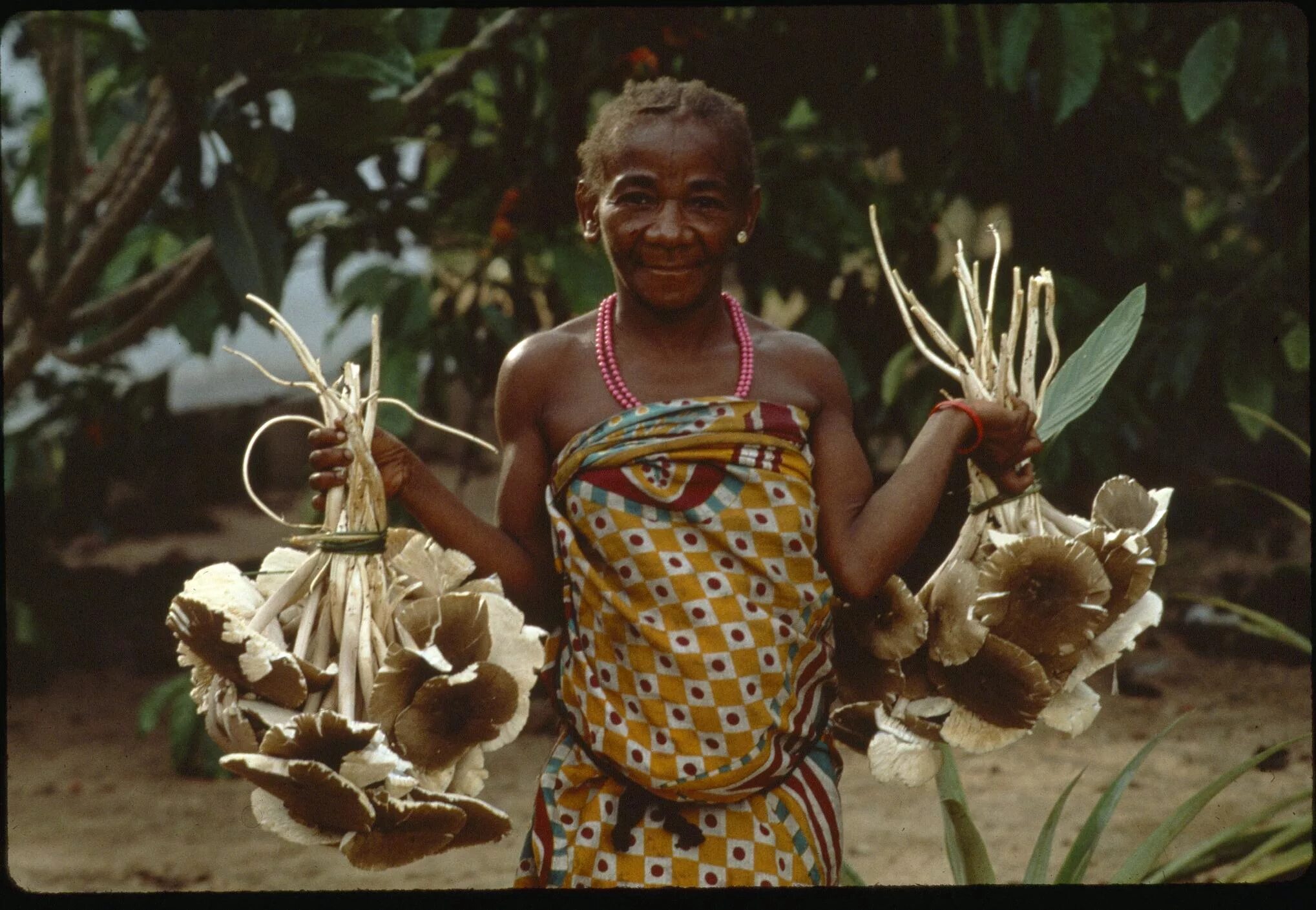 Низкие народы африки. Пигмейское племя мбути. Пигмеи Конго.