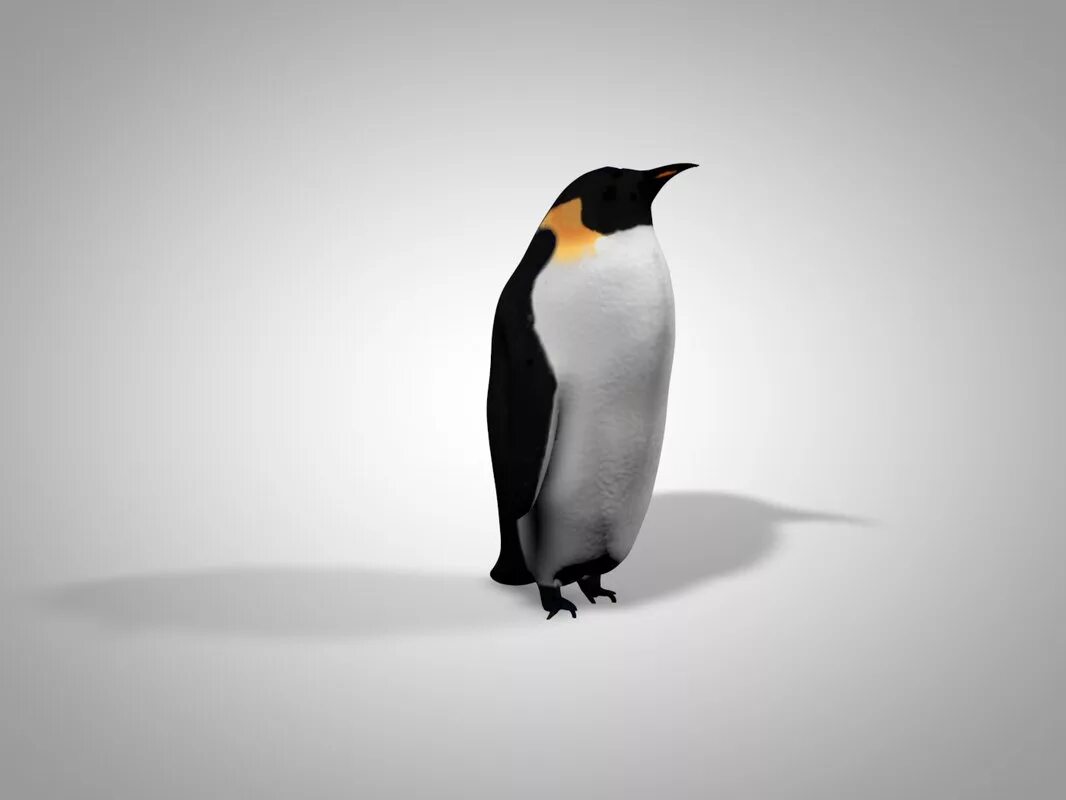 Пингвин 3d. Пингвин 3д модель. 3d model Пингвин. 3d модель пингвинчиков. Пингвин 3 6