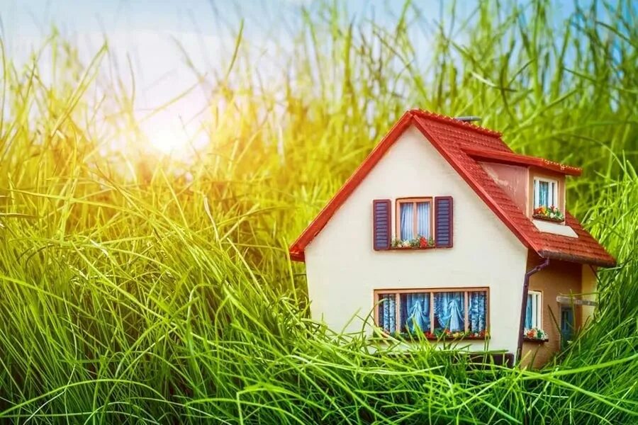 Дом по упрощенке. Дом по упрощенке. Срок действия «дачной амнистии» будет продлён. Дачная амнистия. Дачная амнистия продлена.