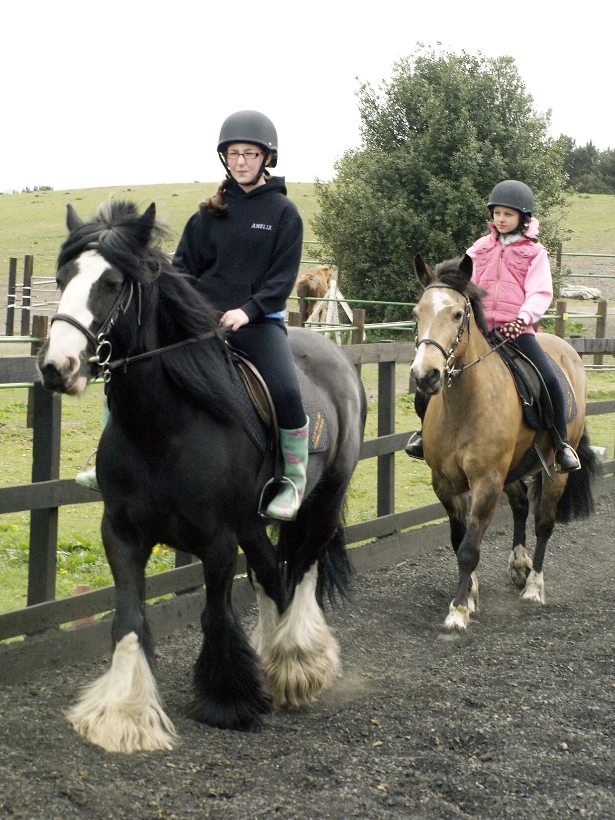 Riding lessons. The Secret to Horses, Special Lesson.