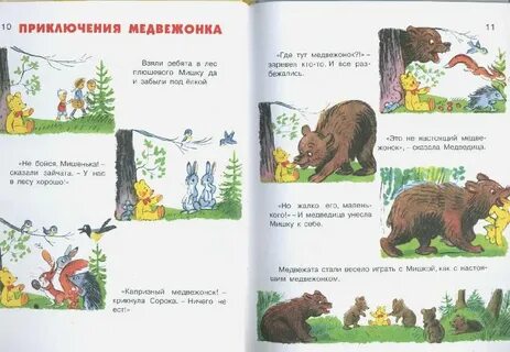 Медведи тут