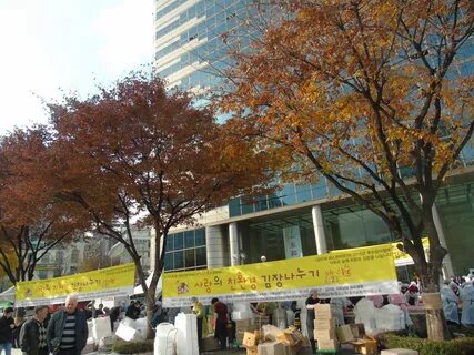 Selipan “Tour” Selama di Korea.