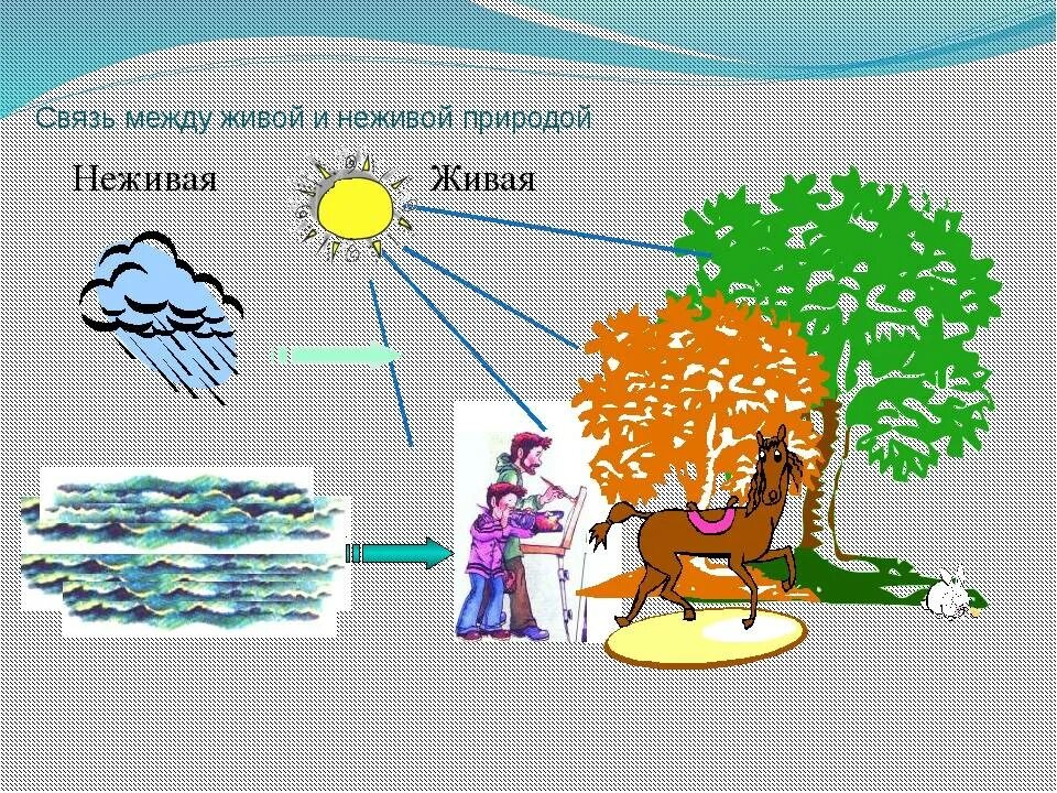 Схема связи живой и неживой природы. Схема живой и неживой природы 2 класс. Схема связи между живой и неживой природой 2 класс окружающий мир. Взаимосвязь живой и не живой природ. Природные связи между объектами