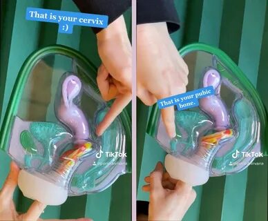 Here's how to use Flex Cup, the only period cup on the market with a p...