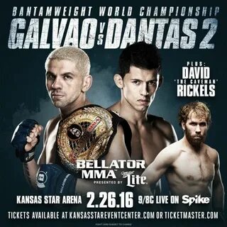 Bellator mma
