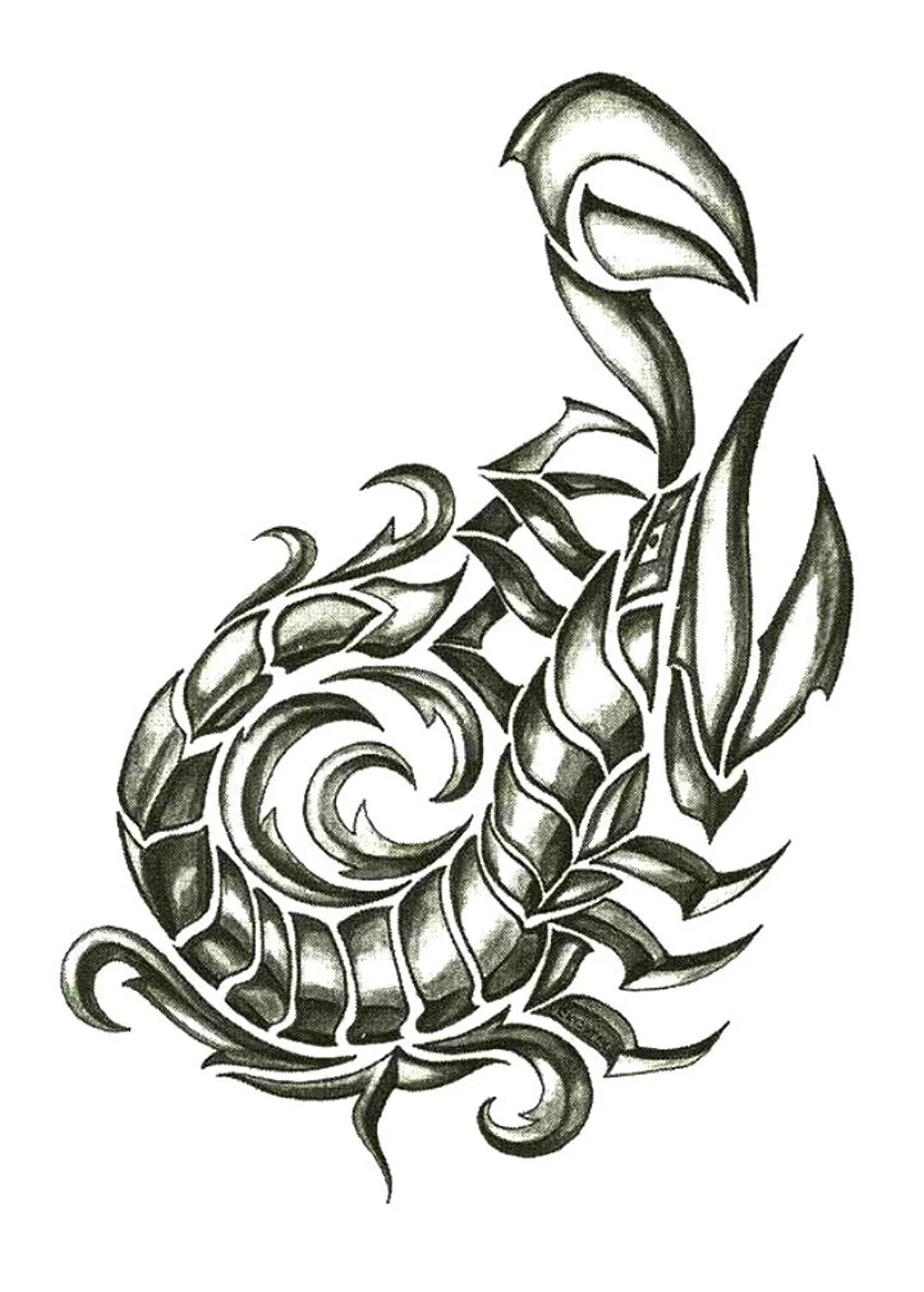 тату скорпион в стиле трайбл. тату скорпион для девушек эскизы. скорпион рисунок. эскиз скорпиона для девушки. татуировка скорпион для девушки эскизы.