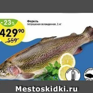 Перекресток форель