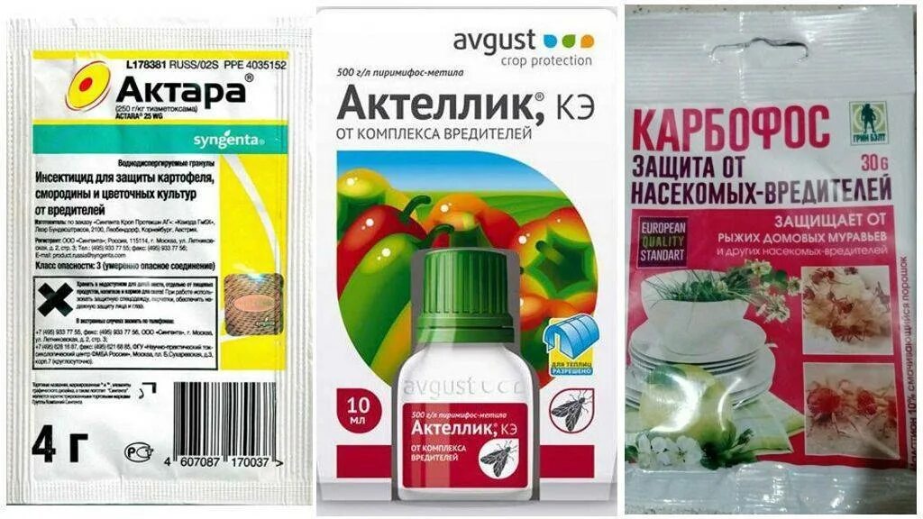 Против паутинного клеща препарат. Акарициды препараты для растений. Акарициды от клещей список препаратов для растений. Паутинный клещ препараты.