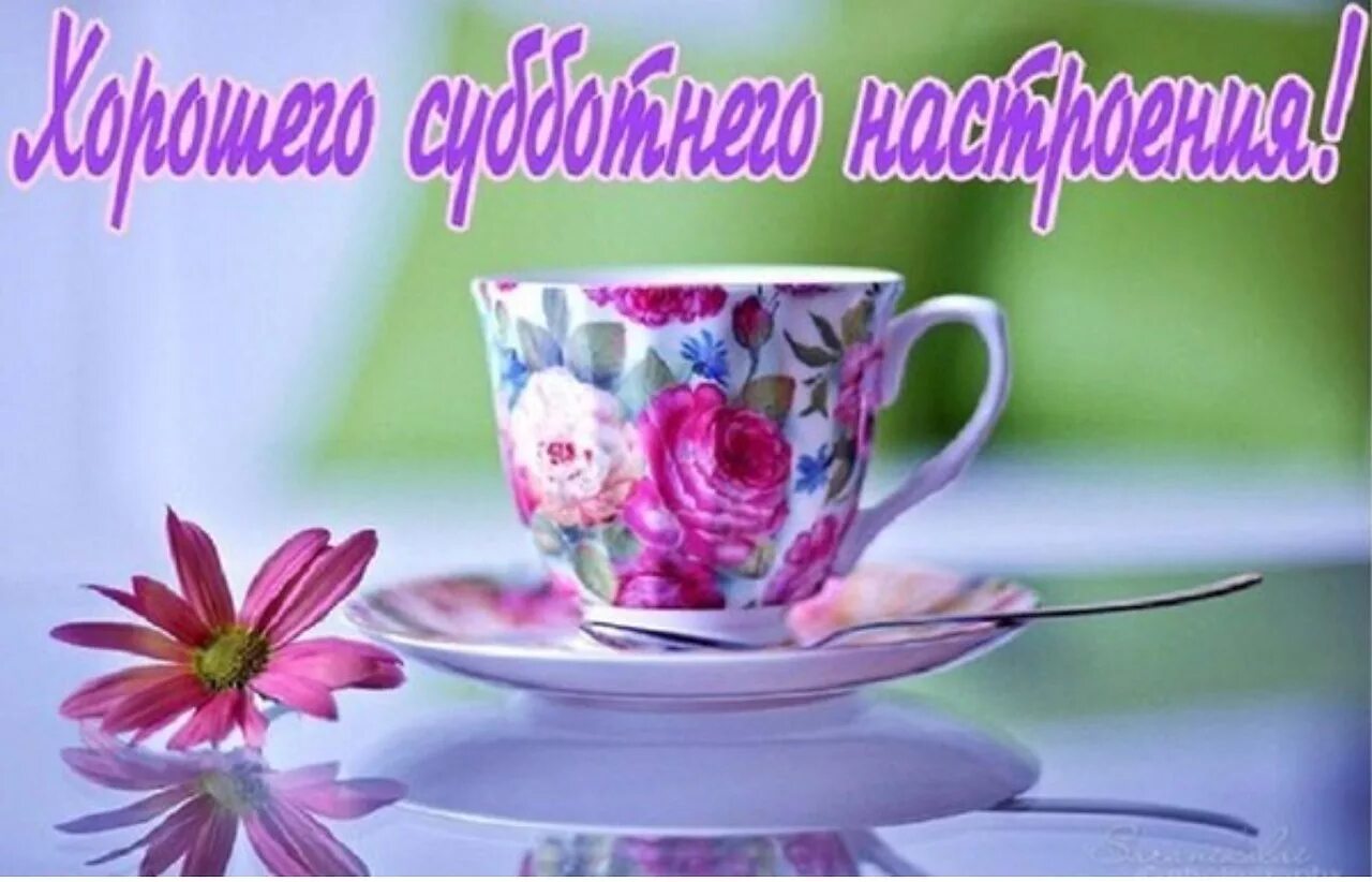 Good Saturday morning ! Happy ! day Rejoice in the sun in the morning, and all t