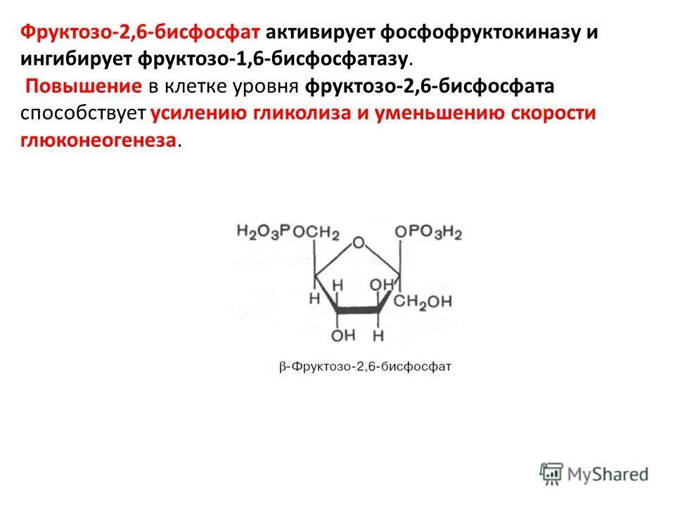 Фруктозо 1 6 бисфосфатаза реакция. Фруктозо 2 6 бисфосфат регуляция. Фруктоза 2 6 дифосфат. Фруктозо 2 6 дифосфат.