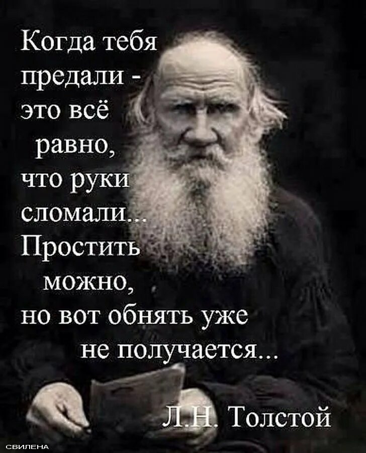 Человек после предательства. Мудрые изречения. Мудрые цитаты. Умные цитаты. Мудрые афоризмы.