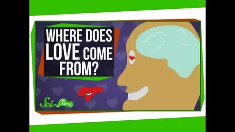 SciShow, science, Hank, Green, michael aranda, Where Does Love Come From?, ...