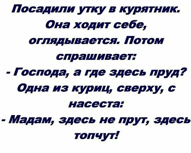 Где тут пруд. Пруд лыковка. Прудить пруд ветками. Ульяновский пруд кемеровская область. Где тут пруд.