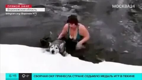 Собака спасла женщину