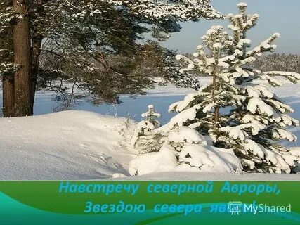 Сомкнуты негой взоры что это значит