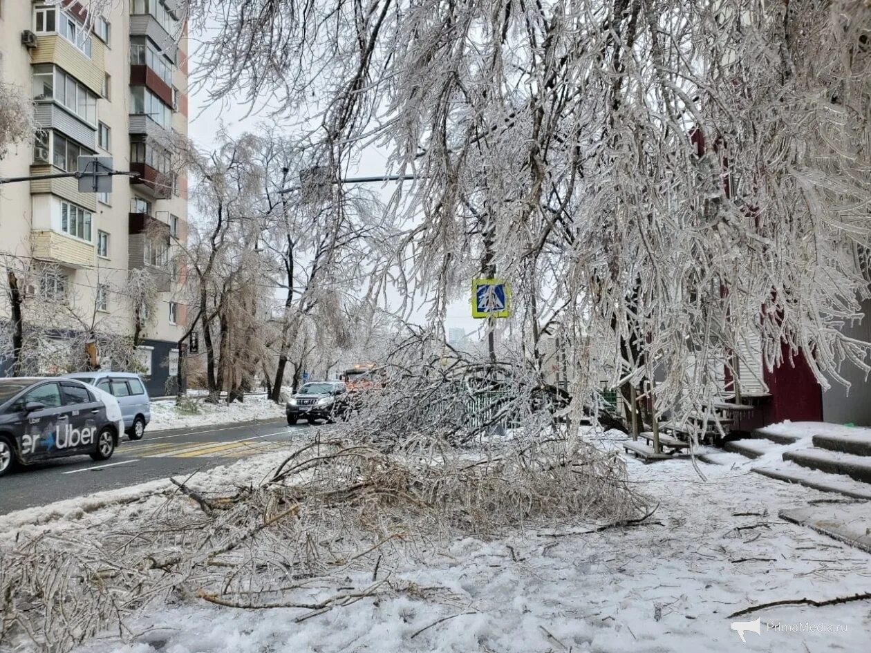 Ледяной дождь во Владивостоке 2020. Владивосток ноябрь 2020 ледяной дождь. Ледяной дождь Приморье 2021. Ледяной дождь во Владивостоке 2020 последствия.