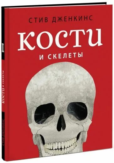 Стив скелет. Книга кости. стив дженкинс кости и скелеты. скелет с книгой. книга про кости человека.