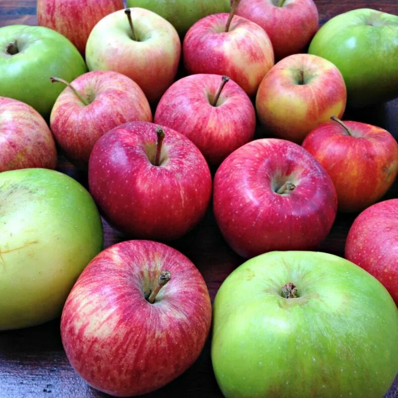 Самые ранние яблоки. Сорт яблони Шарапай. Разные сорта яблок. Яблоко сорт Радужная. Необычные сорта яблок.