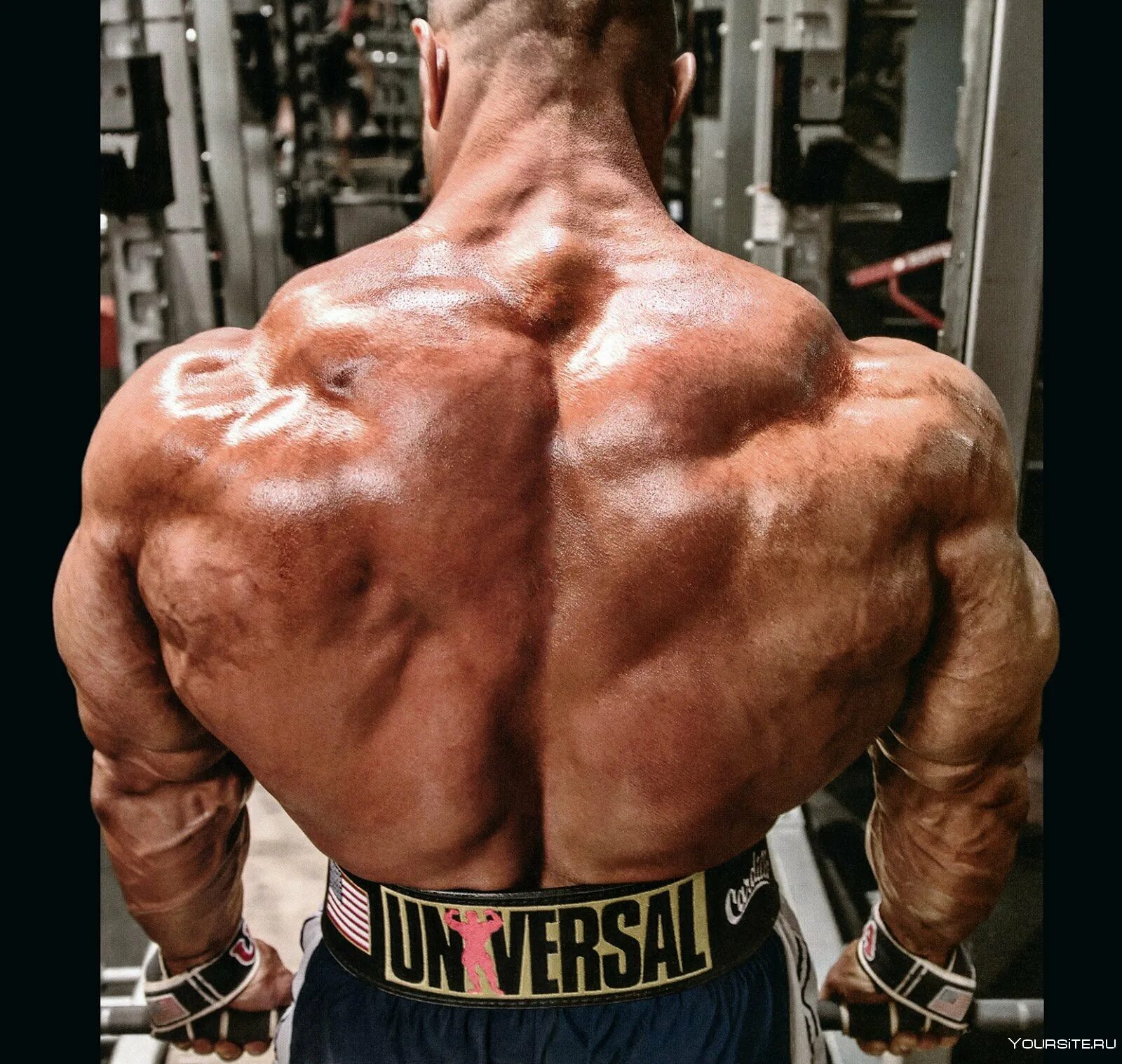 Накаченная спина. Накаченная спина. Широкая накаченная спина. Культурист с гантелями. Мощная спина.