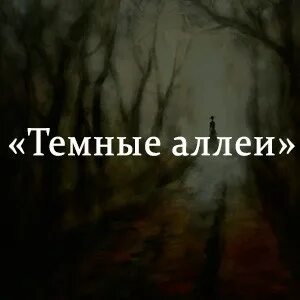 Темные аллеи читательский дневник