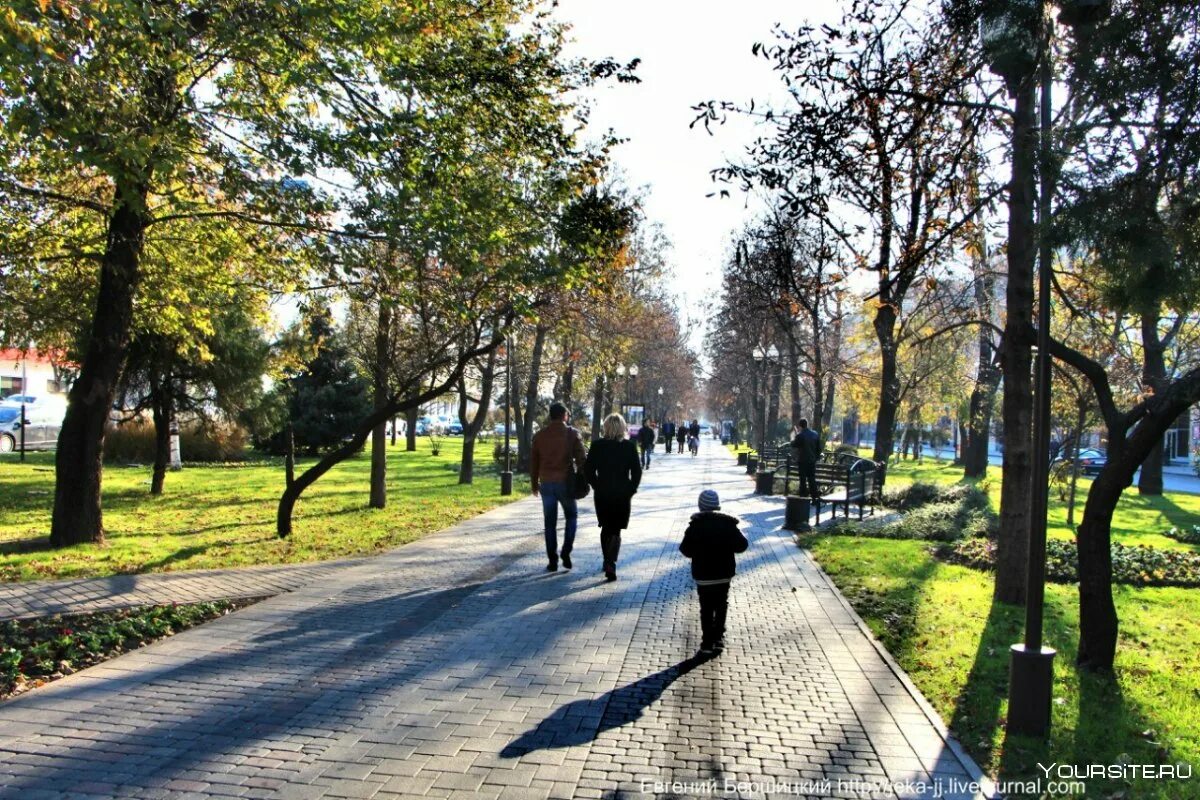 Находится в краснодаре по улице. Краснодар улица красная. аллея на красной улице краснодар. краснодар парк на улице красной. сквер на красной улице в краснодаре.