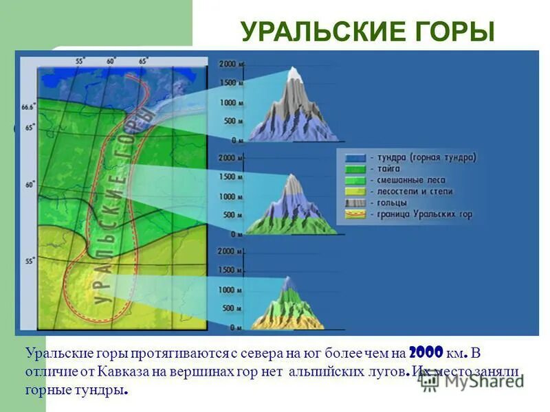 Другое название высоты. Уральские горы Высотная поясность. Уральские горы средняя высота. Высотная поясность в России Урал. Высотная поясность уральских гор.