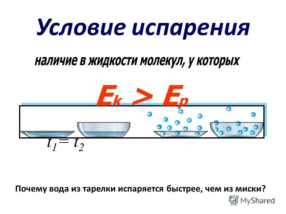 испарение воды листьями проект. при каких условиях происходит испарение. процесс испарения жидкости. скорость испарения жидкости зависит от. скорость испарения жидкости.