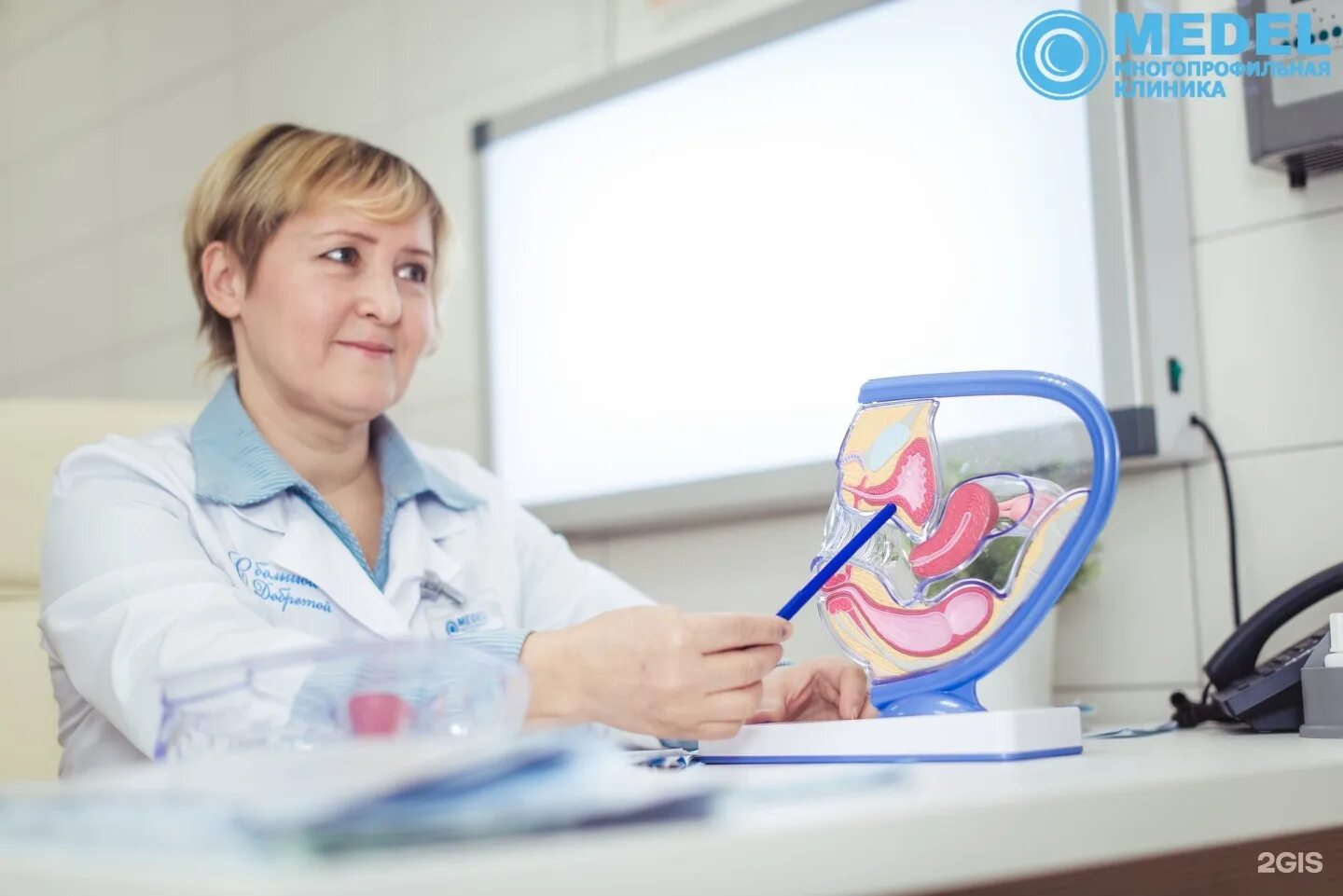 Medieval 2 total war stainless steel карта. Медел 2. Медел 2. Молокоотсос клинический symphony. Медел 2.