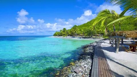 Tropical paradise