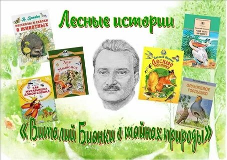 Лесные полянки виталия бианки