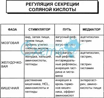 Секреция соляной кислоты