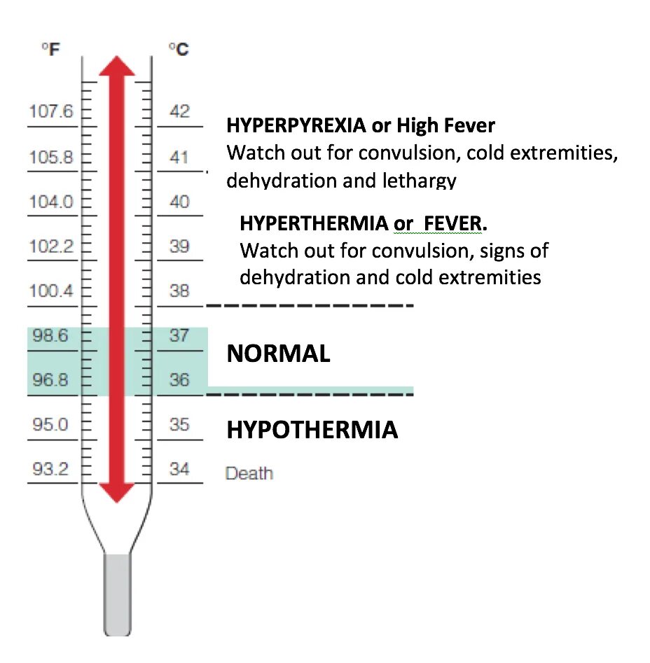 Температура нормал. Гипотермия градусник. Температура тела на английском. Температура тела значок.