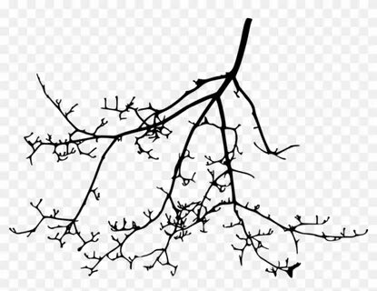 Related branch